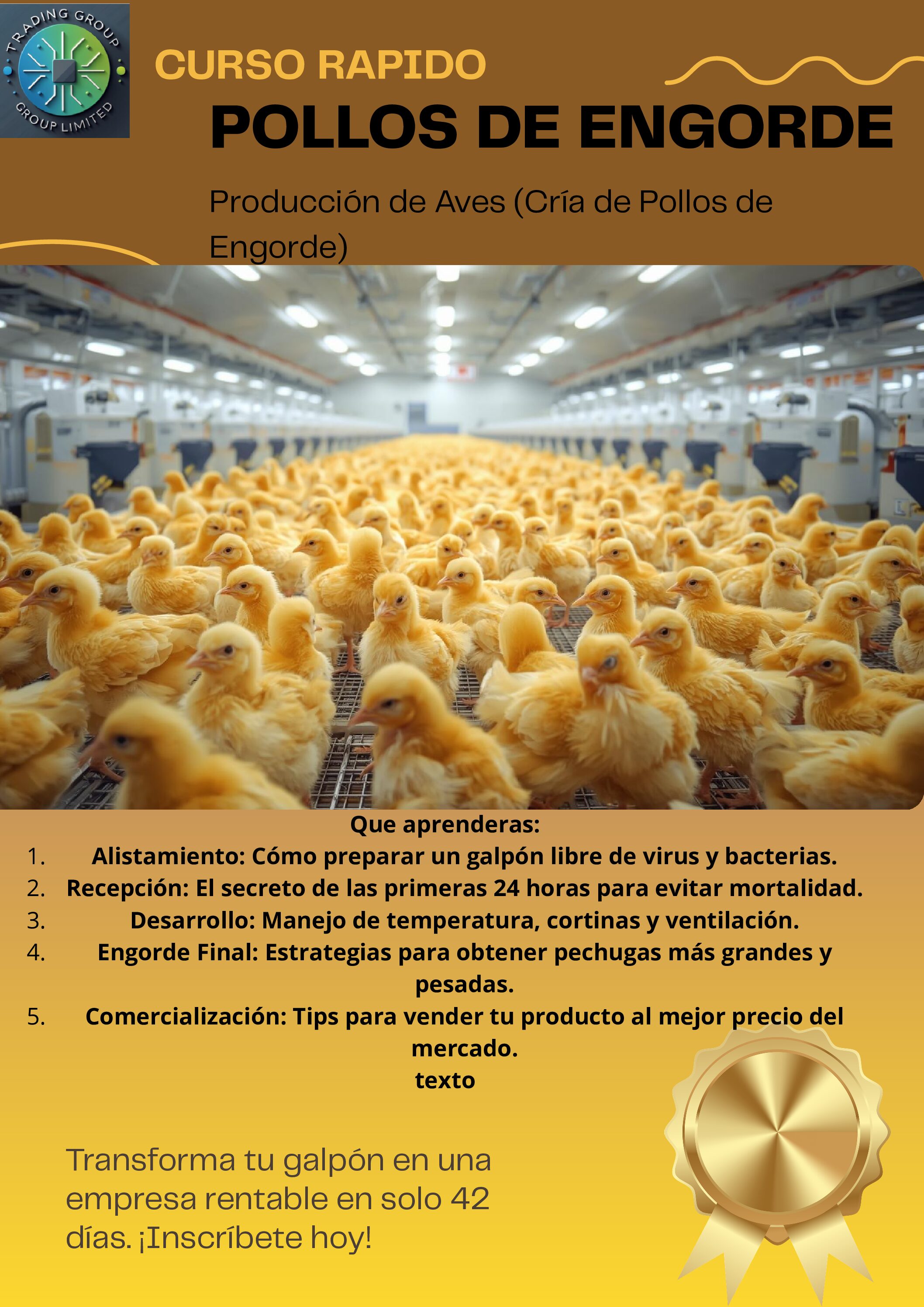 Domina la Producción de Pollos de Engorde: Tu Camino a la Rentabilidad